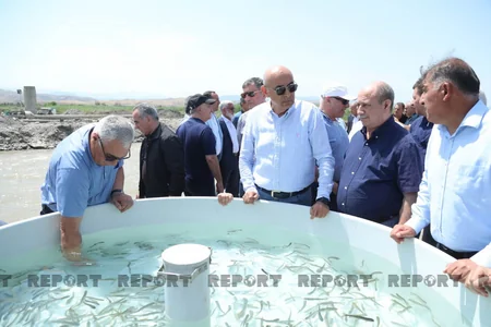 Partiya sədrləri Həkəri çayına balıq buraxıblar