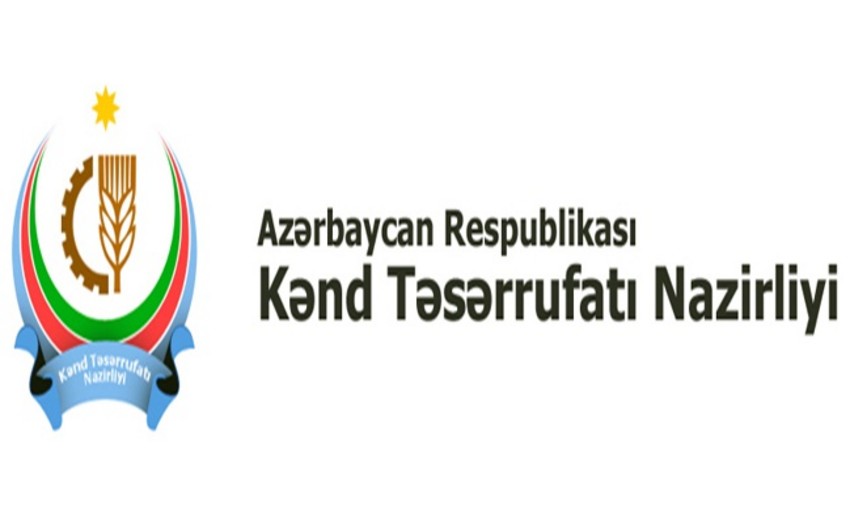 ​Bakıda kənd təsərrüfatı yarmarkalarının bərpa müddəti məlum deyil