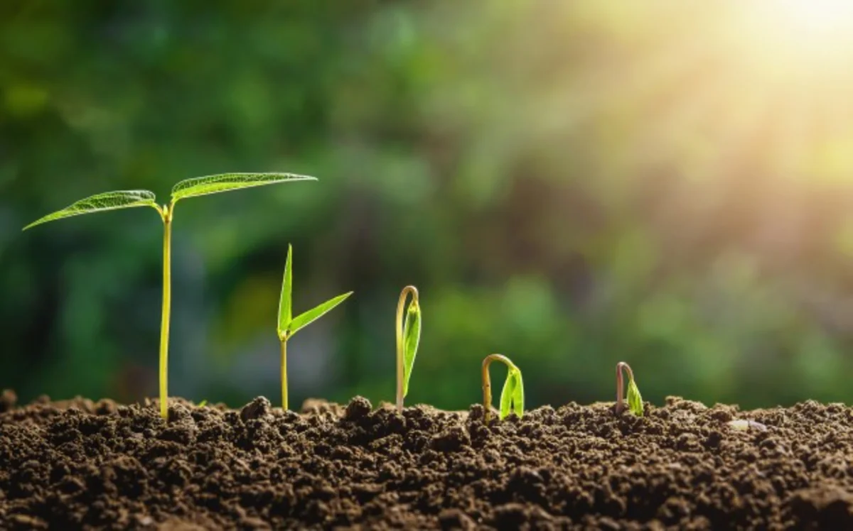 Bu gün sonuncu çərşənbədir