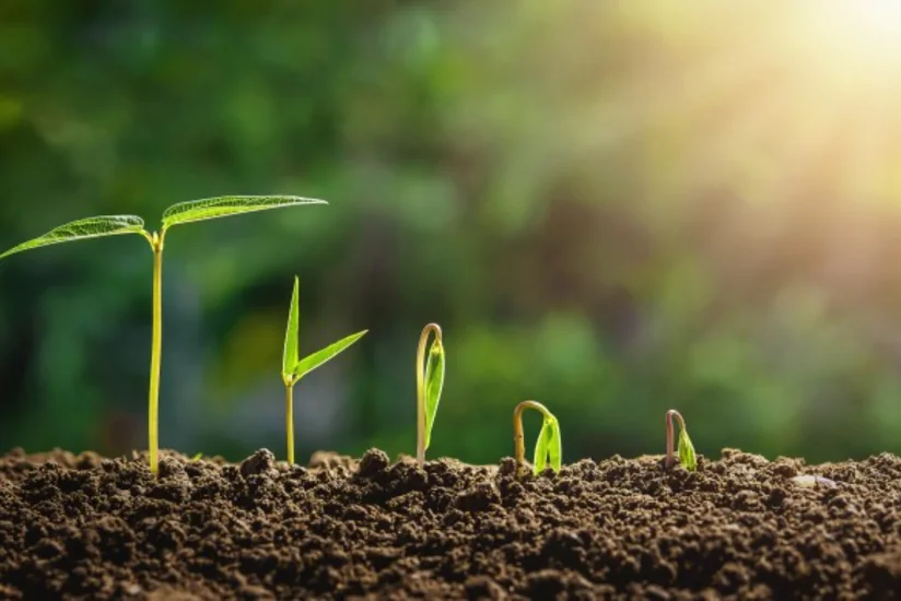 В Азербайджане отмечают последний вторник перед Новруз байрамы