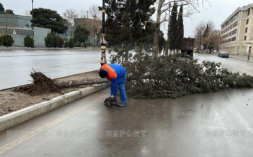 Gəncədə evin divarının üzlüyünün uçması nəticəsində xəsarət alanların adları məlum olub