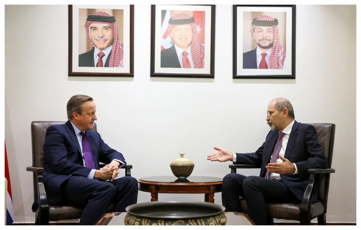 David Cameron, Ayman Safadi mull situation in Gaza