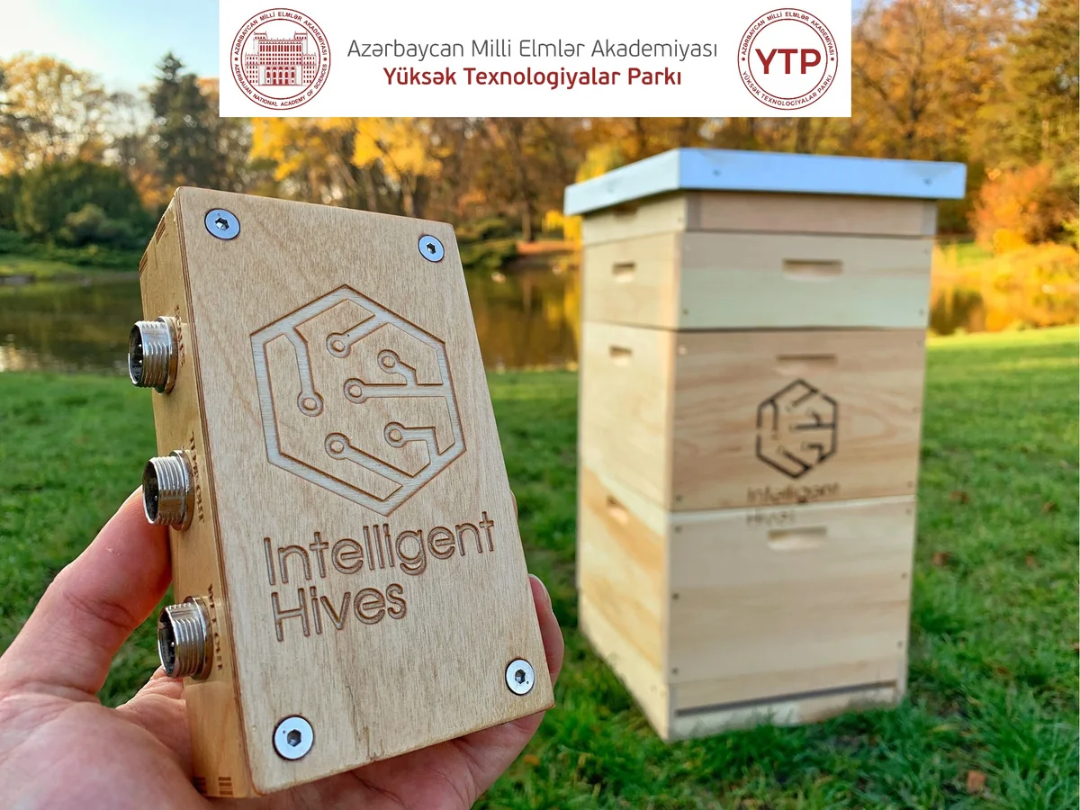 Azərbaycanda ağıllı arı qutuları istehsal ediləcək