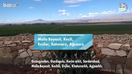Qərbi Azərbaycan Xronikası: Çar Rusiyası Sərdarabad mahalını niyə ləğv edib?