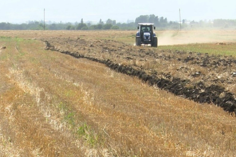 Biləsuvarda məcburi köçkünlərə məxsus 474  hektar sahədə yay şumu aparılıb 