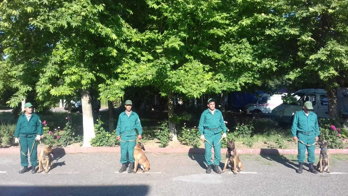 ABŞ ANAMA-ya minaaxtaran itlər hədiyyə edib