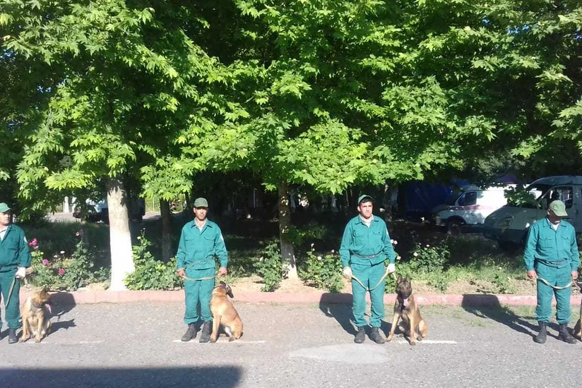 ABŞ ANAMA-ya minaaxtaran itlər hədiyyə edib