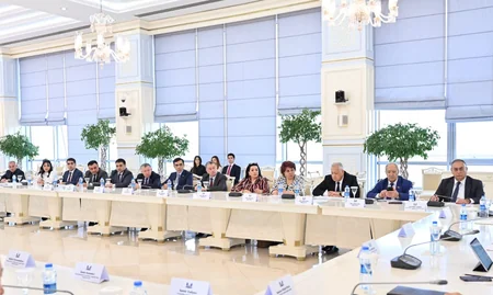“Elektroenergetika haqqında” qanun layihəsi Milli Məclisin plenar iclasına tövsiyə olunub