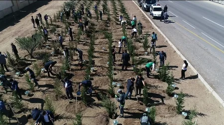 Bakıda Anım Gününə həsr edilən ağacəkmə aksiyası keçirilib