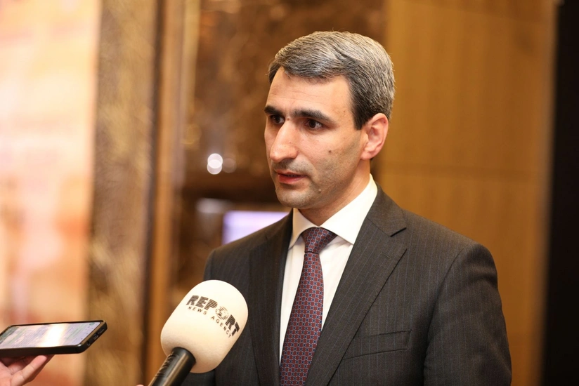 Rövşən Rüstəmov: Göygöldəki hadisə infeksion xəstəliklə əlaqədardır