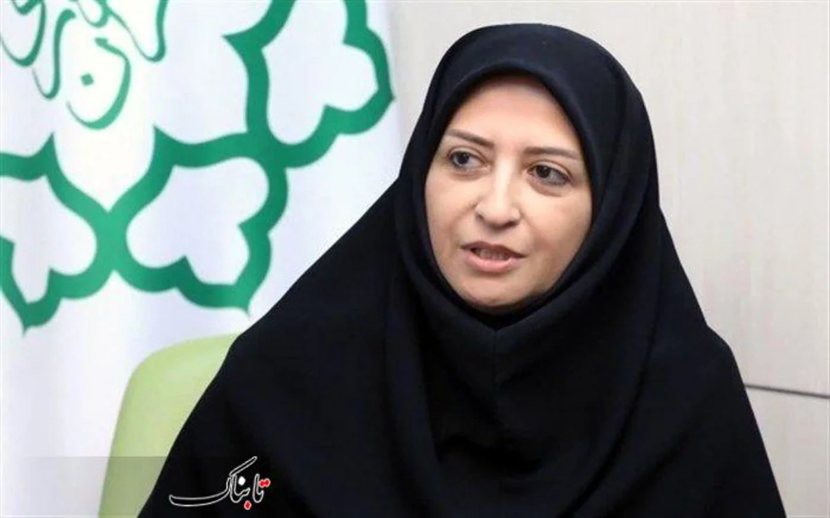 Ansari: Iran calls for fair access to climate finance for all