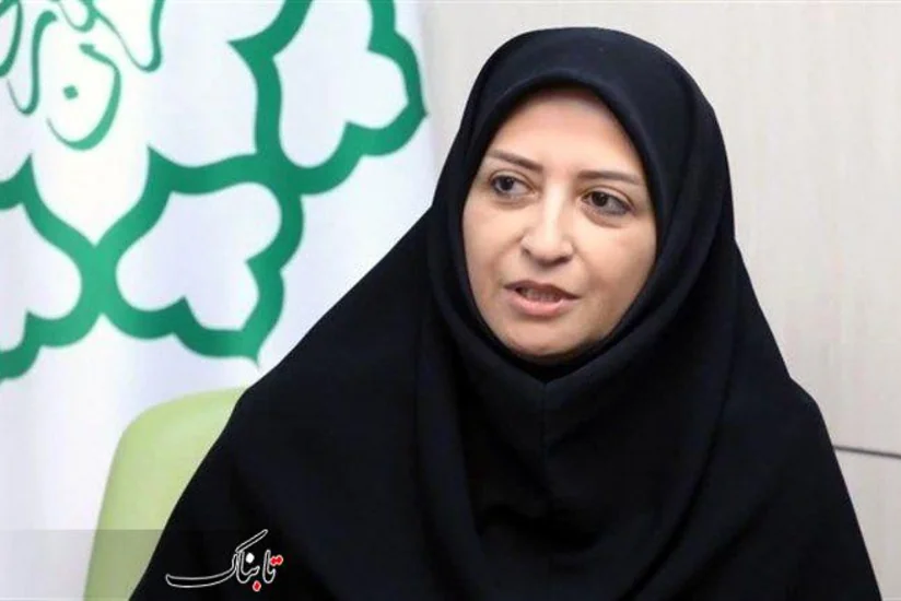 Ansari: Iran calls for fair access to climate finance for all