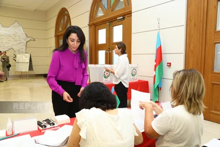 Ombudsman səsvermə hüququndan istifadə edib