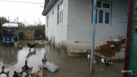 Astarada aramsız yağışlar nəticəsində 150-dən çox yaşayış evini su basıb - VİDEO