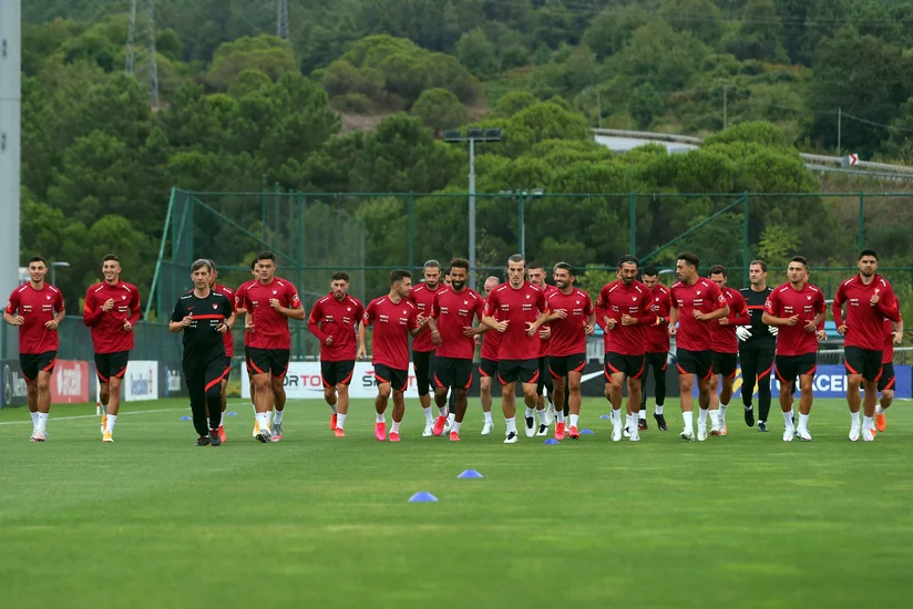 Türkiyə millisinin AVRO-2020 üçün hazırlıq planı açıqlandı