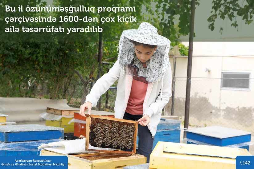 Nazirlik: Bu il özünüməşğulluq proqramı çərçivəsində 1600-dən çox kiçik ailə təsərrüfatı yaradılıb