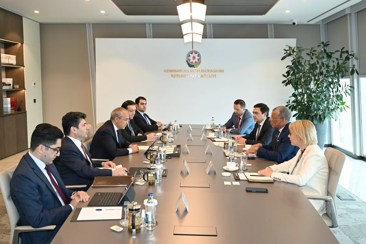 Azerbaijan discusses cooperation with international consulting company