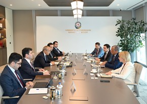 Azərbaycan beynəlxalq konsaltinq şirkəti ilə əməkdaşlığı müzakirə edib