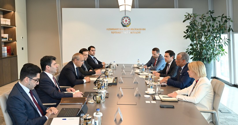 Azerbaijan discusses cooperation with international consulting company