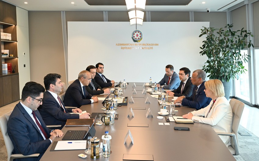 Azerbaijan discusses cooperation with international consulting company