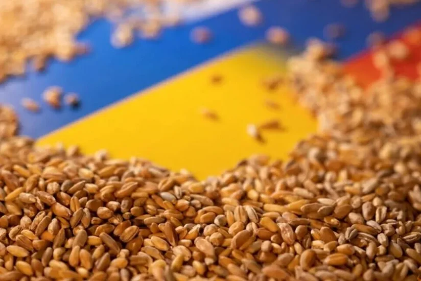 ​​​​​​​Из украинских портов отправили более 21 млн тонн продовольствия
