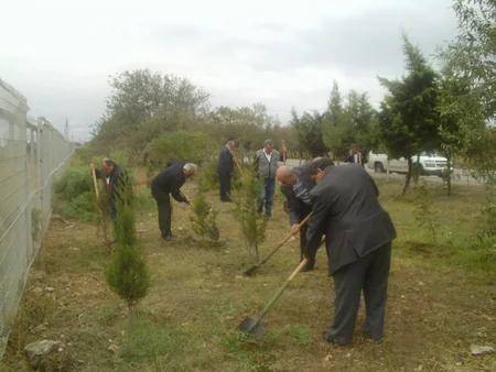 “Azərikimya”nın struktur bölmələrində ilin ilk payız iməcliyi keçirilib