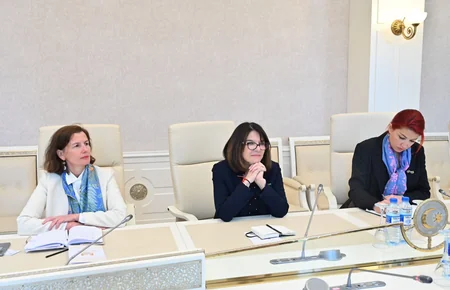 Milli Məclisdə Fransa Senatının üzvü Natali Qule ilə görüş keçirilib