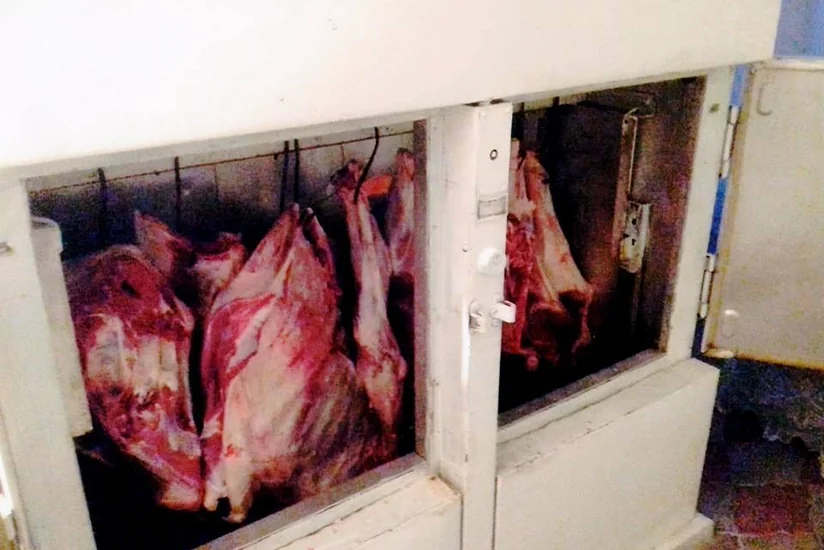 Zaqatala sakininin həyətində  84 kiloqram mənşəyi məlum olmayan ət aşkarlanıb