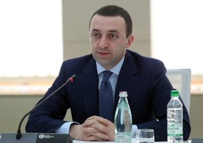 Qaribaşvili: “Azərbaycanla əməkdaşlığın genişləndirilməsi üçün intensiv dialoq aparılır”