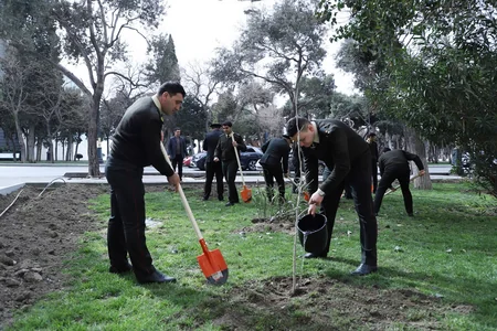 Dövlət Xidməti növbəti dəfə ağacəkmə aksiyası keçirdi