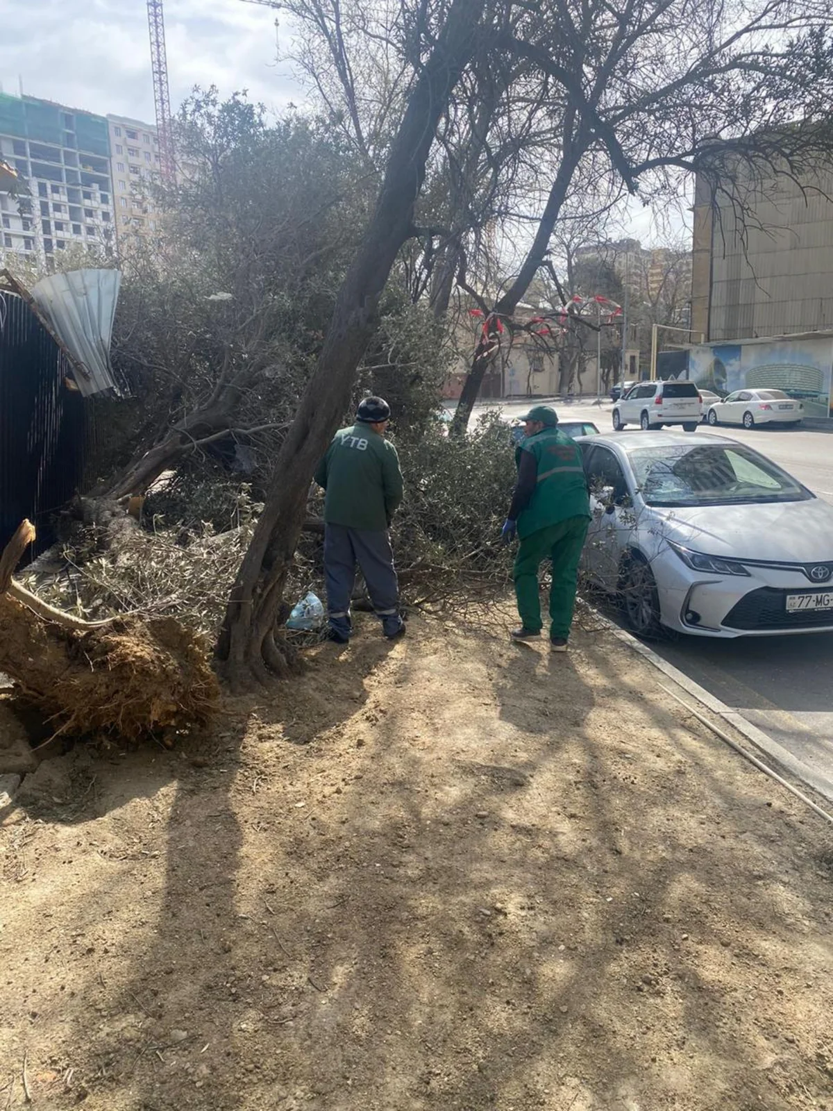 Güclü külək Bakıda 20 ağacı sındırıb