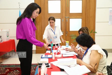Ombudsman səsvermə hüququndan istifadə edib