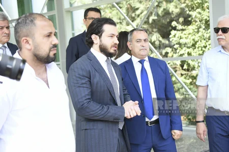 SOCAR karbon kreditlərinin növbəti satışına hazırlaşır