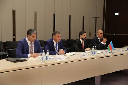 Azerbaijan, Georgia discuss energy cooperation