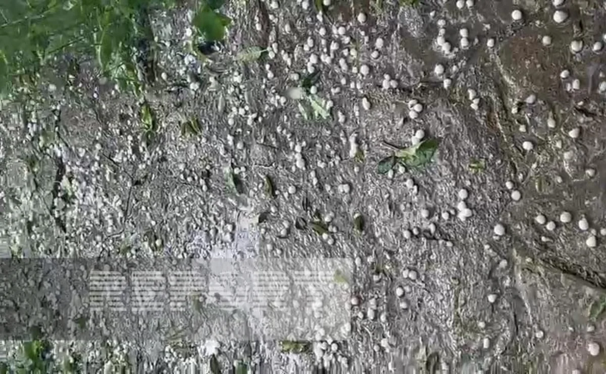 Qərb rayonlarının ucqar kəndlərinə dolu düşüb, təsərrüfata zərər dəyib