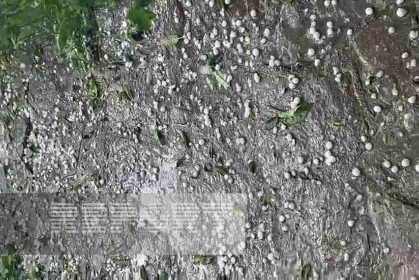 Qərb rayonlarının ucqar kəndlərinə dolu düşüb, təsərrüfata zərər dəyib