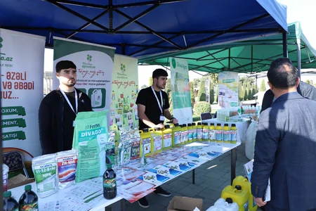 Tovuzda Aqrar Biznes Festivalı keçirilib