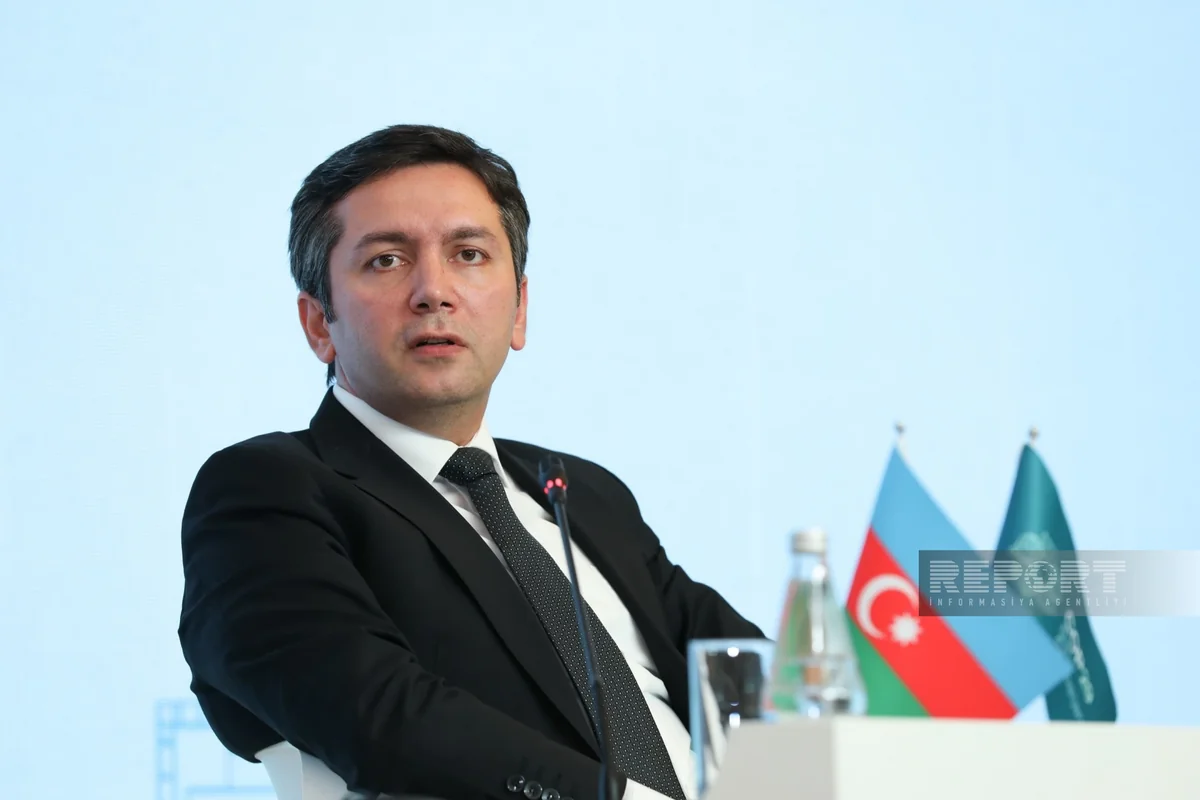 Azerbaijan intends to actively contribute to development of NDC by 2025
