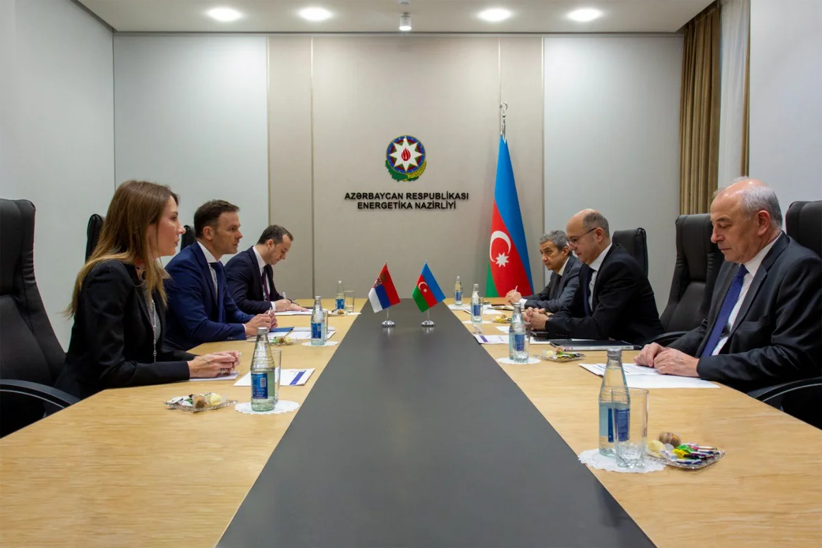 Azerbaijan, Serbia discuss cooperation in green energy