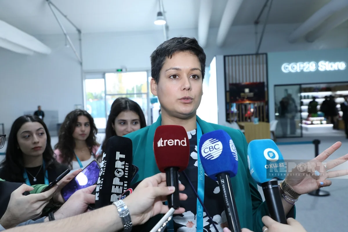 COP29-da Norveç xalqına çağırış: Dəniz ekosistemlərinin qorunması və balina ovunun dayandırılması üçün birlik olmalıdır