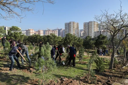 President Ilham Aliyev and first lady Mehriban Aliyeva attended tree-planting campaign in Khatai district, Baku