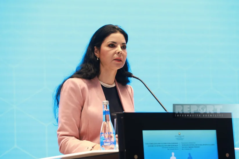 Ana Birçall: “Ermənistan itkin düşənlərin taleyi ilə bağlı məlumat vermir”