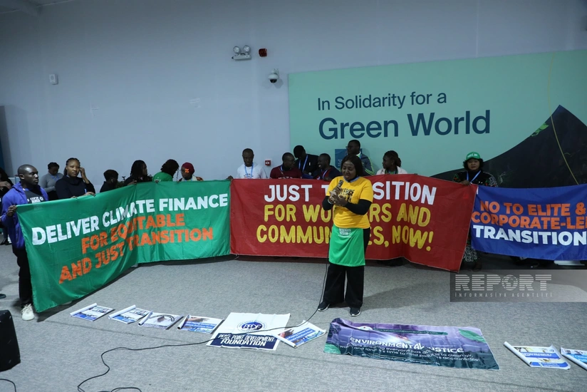 Afrikalı ekofəallar bərpa olunan enerji mənbələri üzrə layihələrin maliyyələşdirilməsinin artırılmasına çağırış ediblər