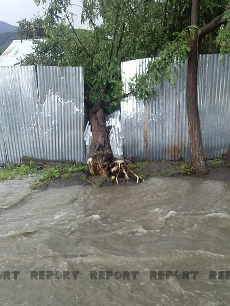 Zaqatalada sel fəsadlar törədib