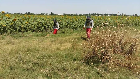 Samuxda 1 ədəd top mərmisi tapılıb