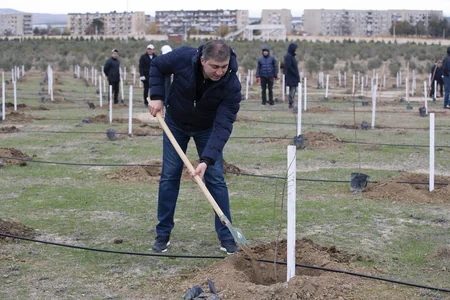 Kənd Təsərrüfatı Nazirliyi ağacəkmə kampaniyasına qatılıb