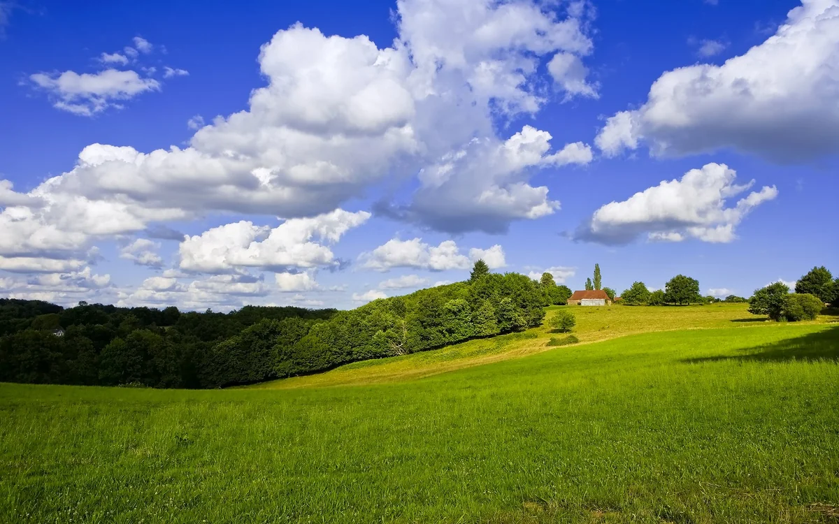 Umayra Tağıyeva: Həftənin ikinci yarısında hava sabitləşməyə doğru dəyişəcək