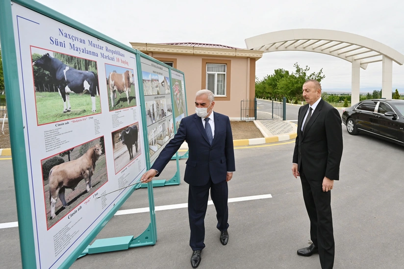 Artificial Insemination Center launched in Nakhchivan