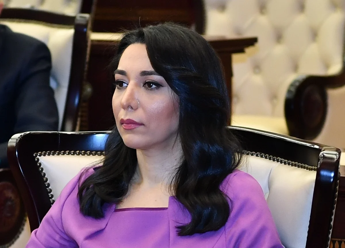 Ombudsman Tovuzda monitorinq aparan zaman ermənilər atəş açıblar