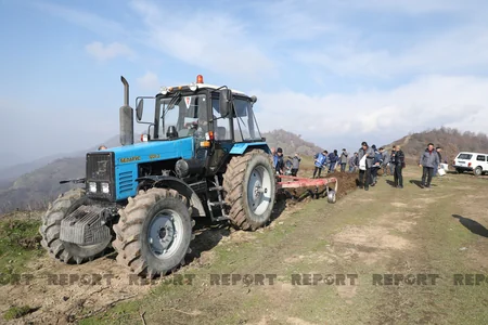 Qəbələnin yanğına məruz qalmış meşə sahəsinə ağac toxumları səpilib